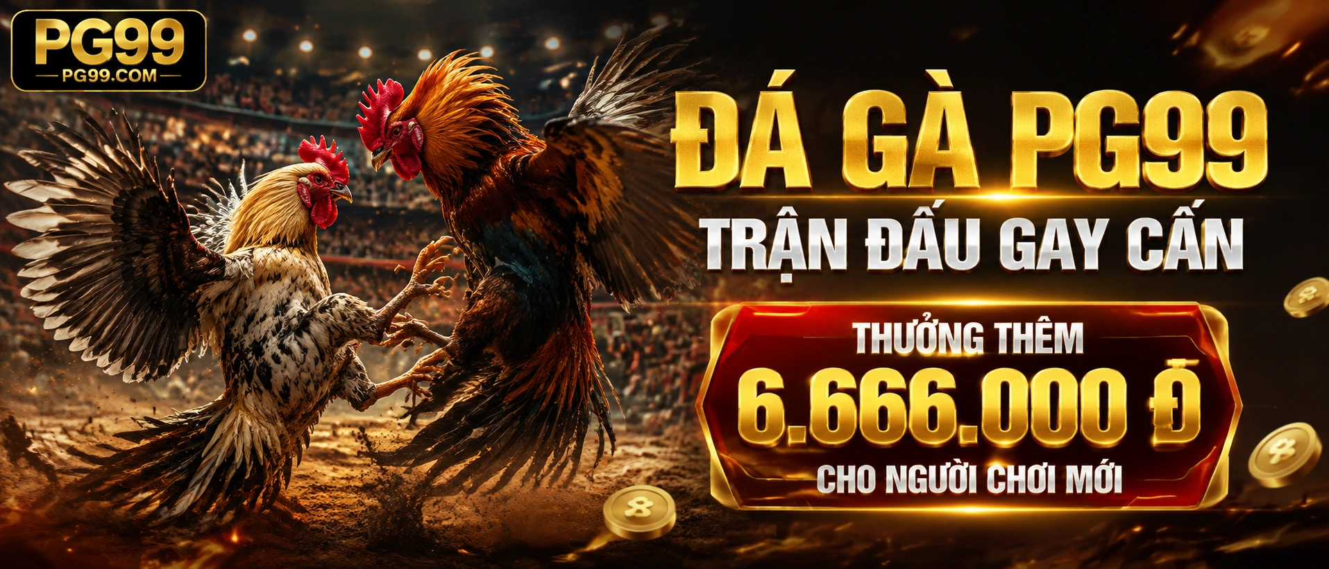 Đá Gà trực tiếp - phòng đấu mở