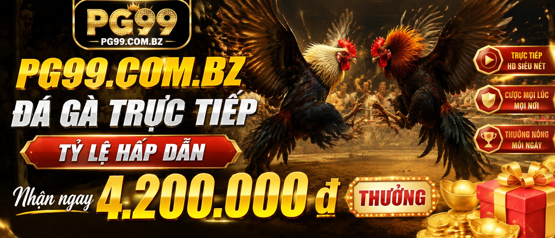 Đá Gà Thomo - khu live và cửa cược